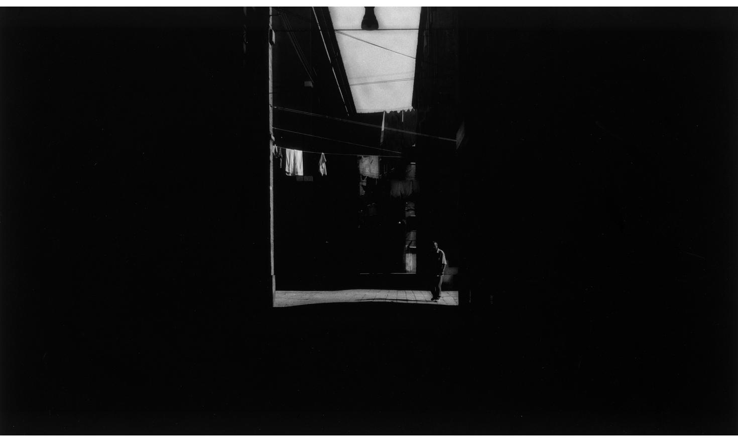 Je suis le chien Pitié