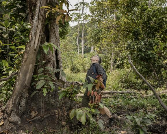 Fabian Leendertz, Director of HIOH, looks at a tree with a large whole, to see if bats use it as a shelter, in a river coming back from seeing elephants in Dzanga Bai, near Bayanga, the Central African Republic, on February 10, 2024. "They love these," he